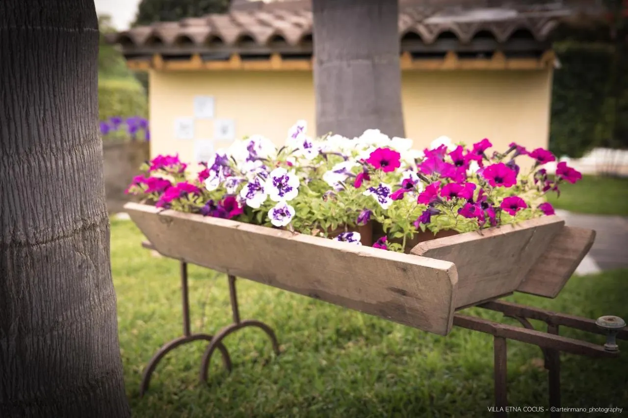 Casa Vacanze Etna Cocus Villa Santa Venerina Italy